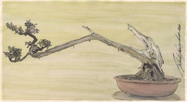 Bonsai I
