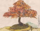 Bonsai III