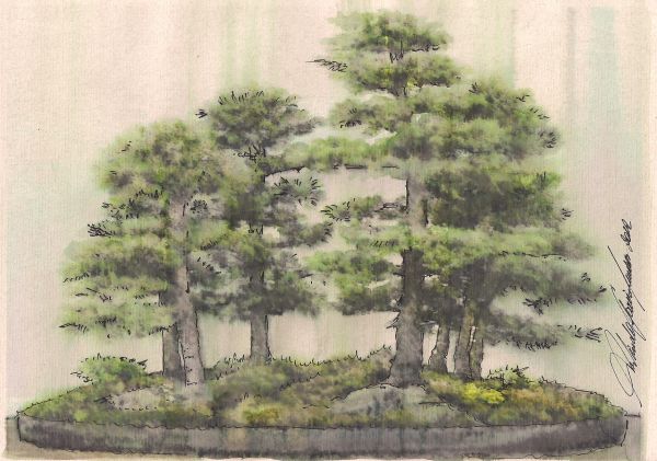 Bonsai II